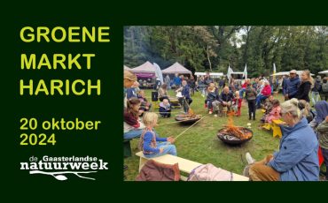 Groene Markt Festival Harich – Een festival vol natuuractiviteiten voor het hele gezin!